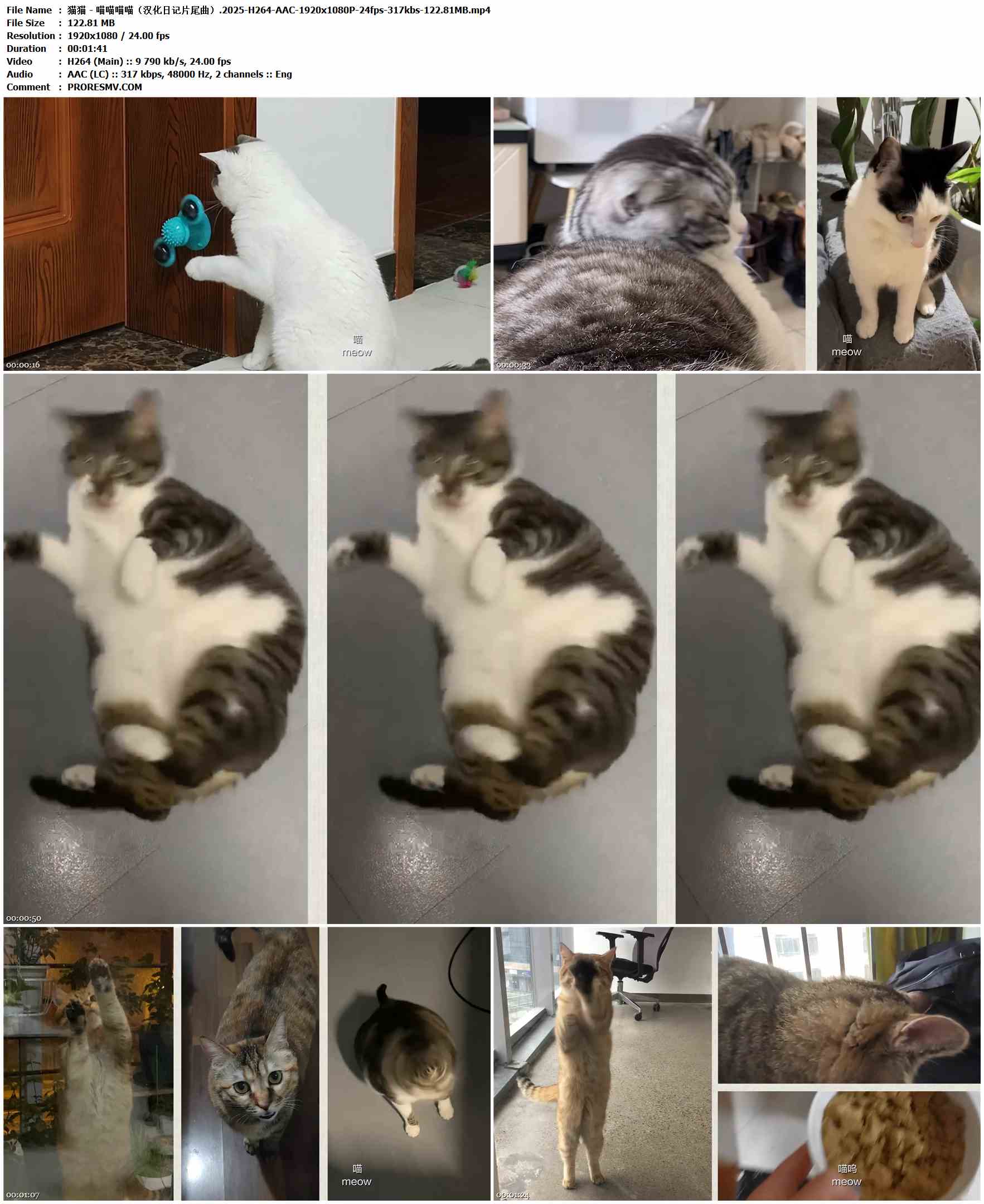 猫猫 - 喵喵喵喵（汉化日记片尾曲）.2025-H264-AAC-1920x1080P-24fps-317kbs-122.81MB官方MV_高清MV